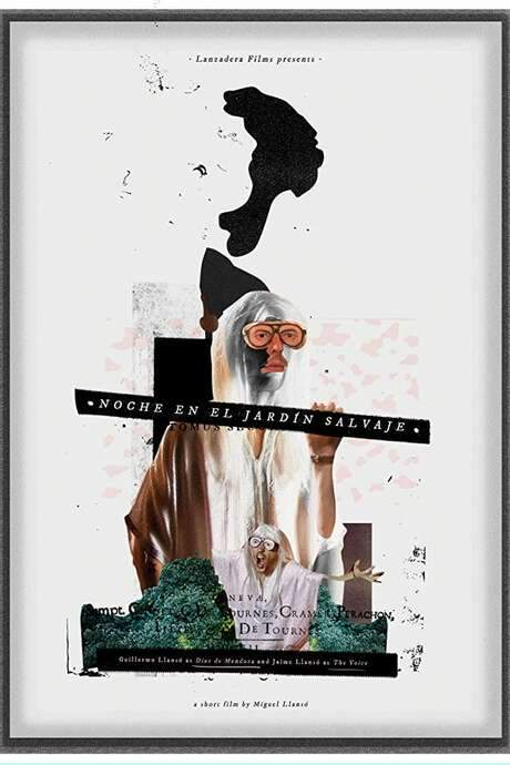 Night in the Wild Garden